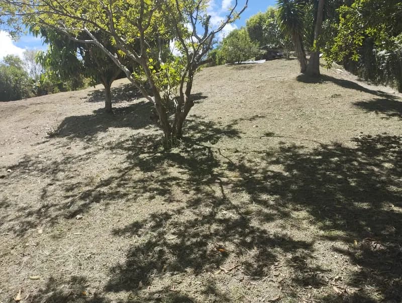 🌳 SE VENDE EXCELENTE LOTE EN COPACABANA 3