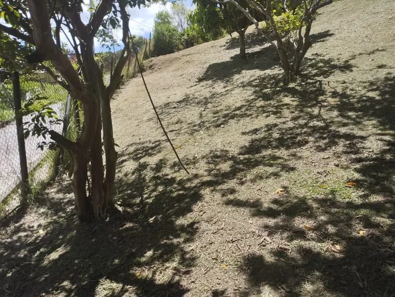 🌳 SE VENDE EXCELENTE LOTE EN COPACABANA — urbana