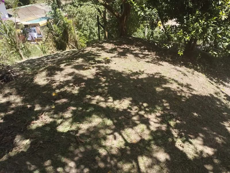 🌳 SE VENDE EXCELENTE LOTE EN COPACABANA 6