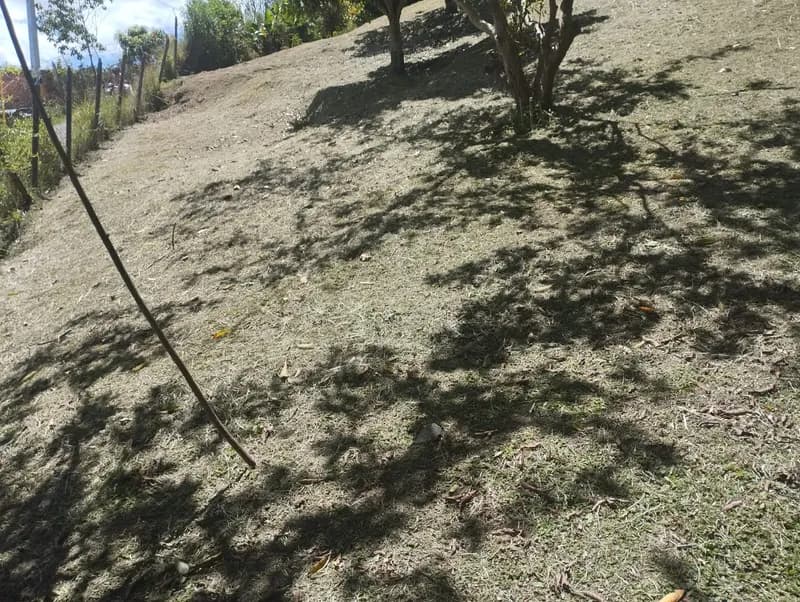 🌳 SE VENDE EXCELENTE LOTE EN COPACABANA 4