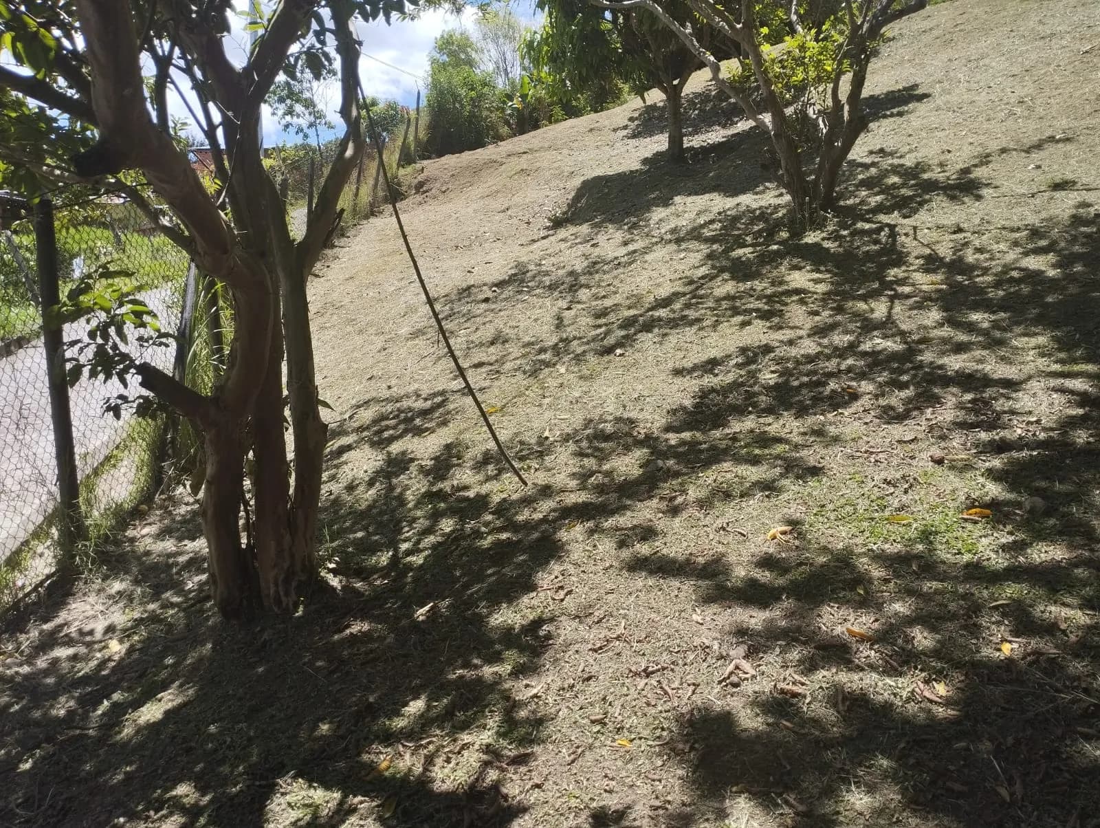 🌳 SE VENDE EXCELENTE LOTE EN COPACABANA — Copacabana · urbana